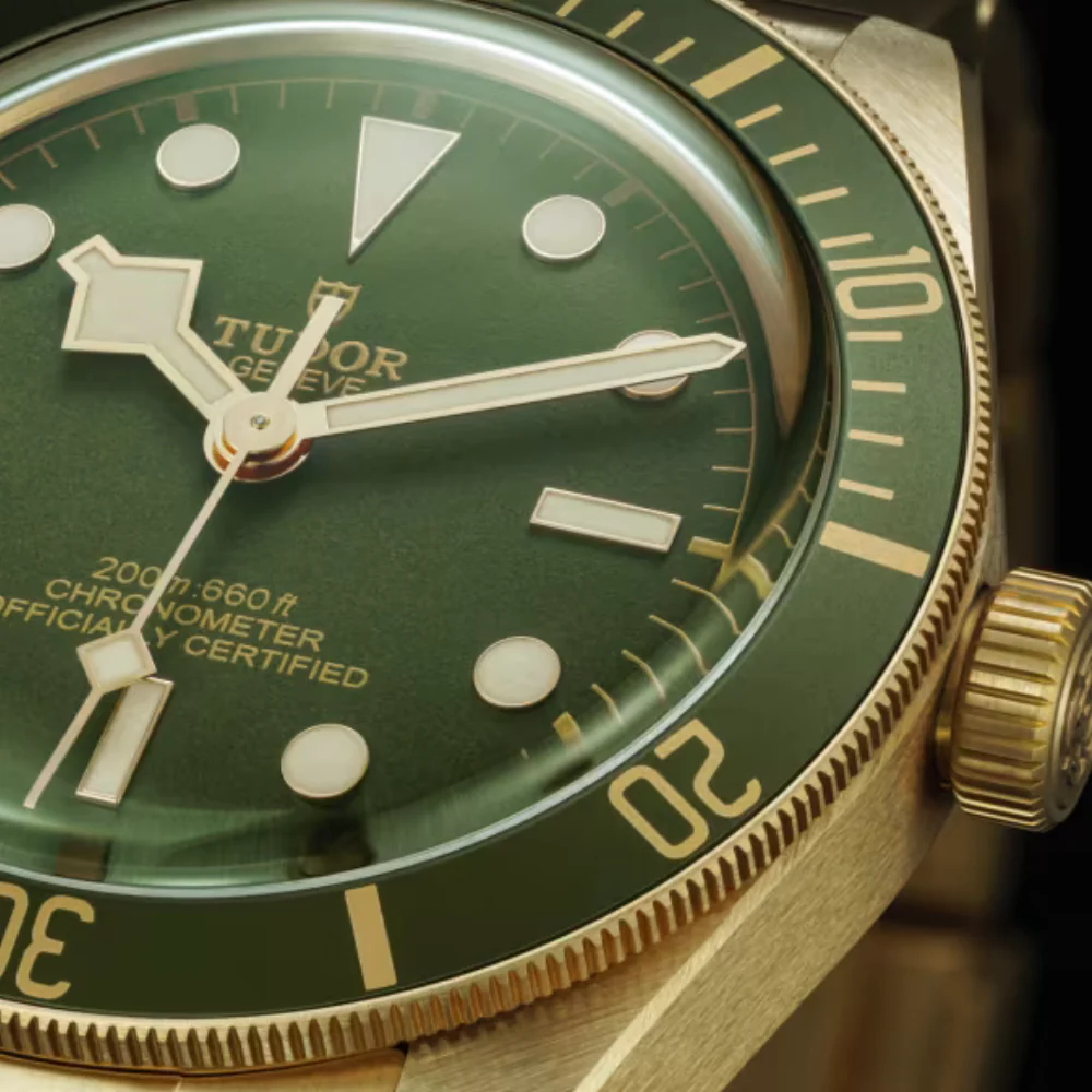 TUDOR Black Bay 58 18K M79018V-0006 - Image 3