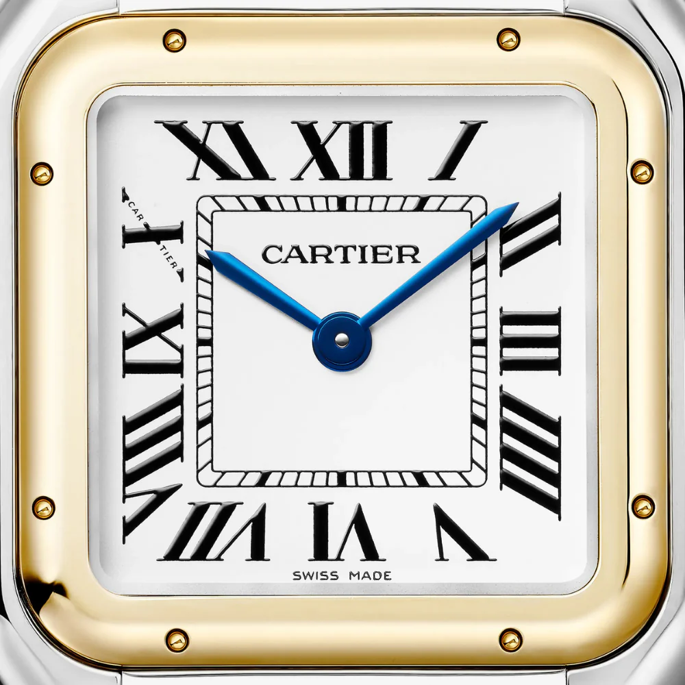 Cartier Panthère de Cartier Medium W2PN0019 - Image 3