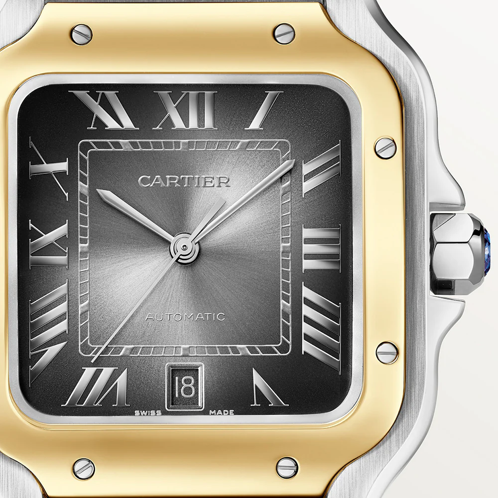 Cartier Santos de Cartier Large Watch W2SA0030 - Image 6