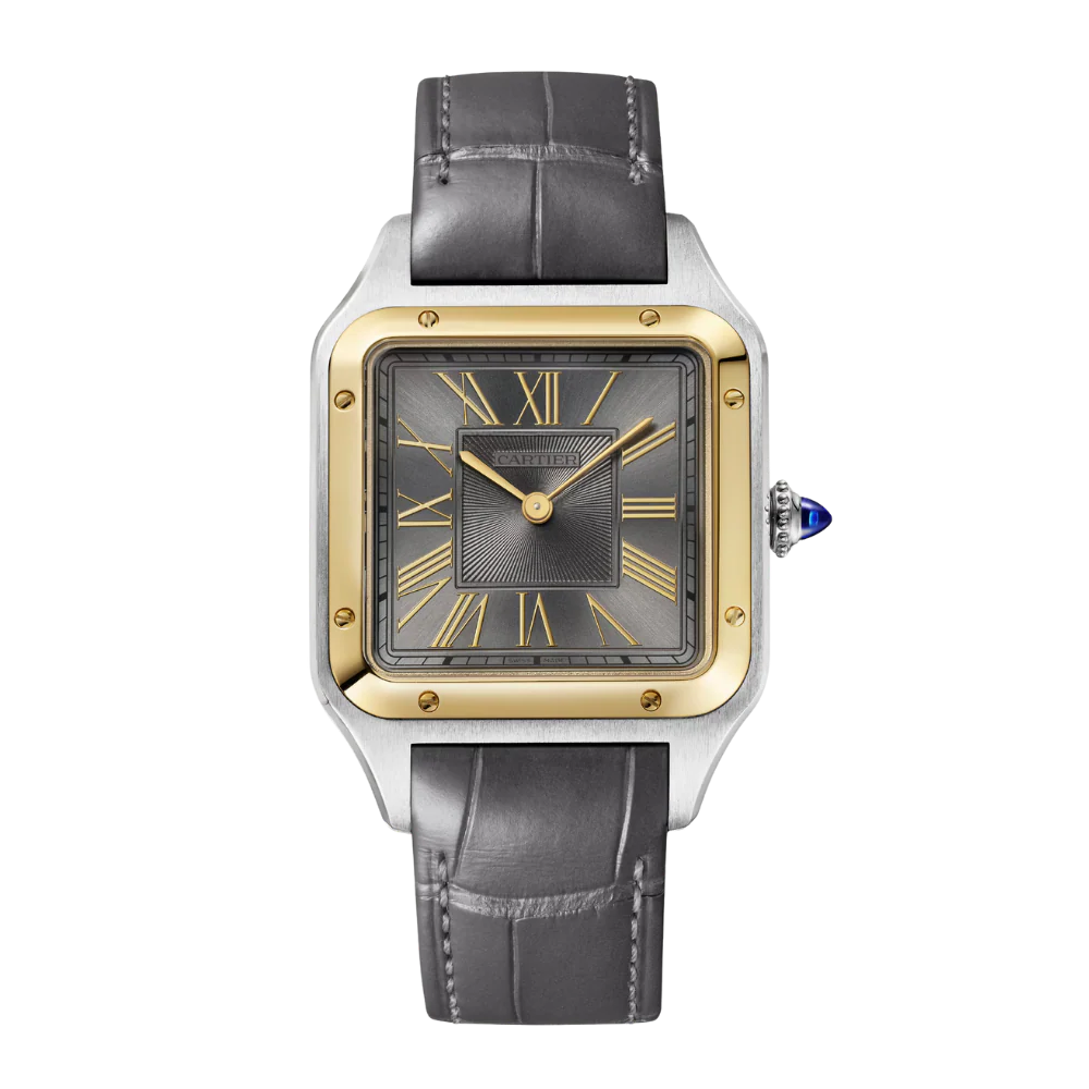 Cartier Santos-Dumont Large Watch W2SA0036