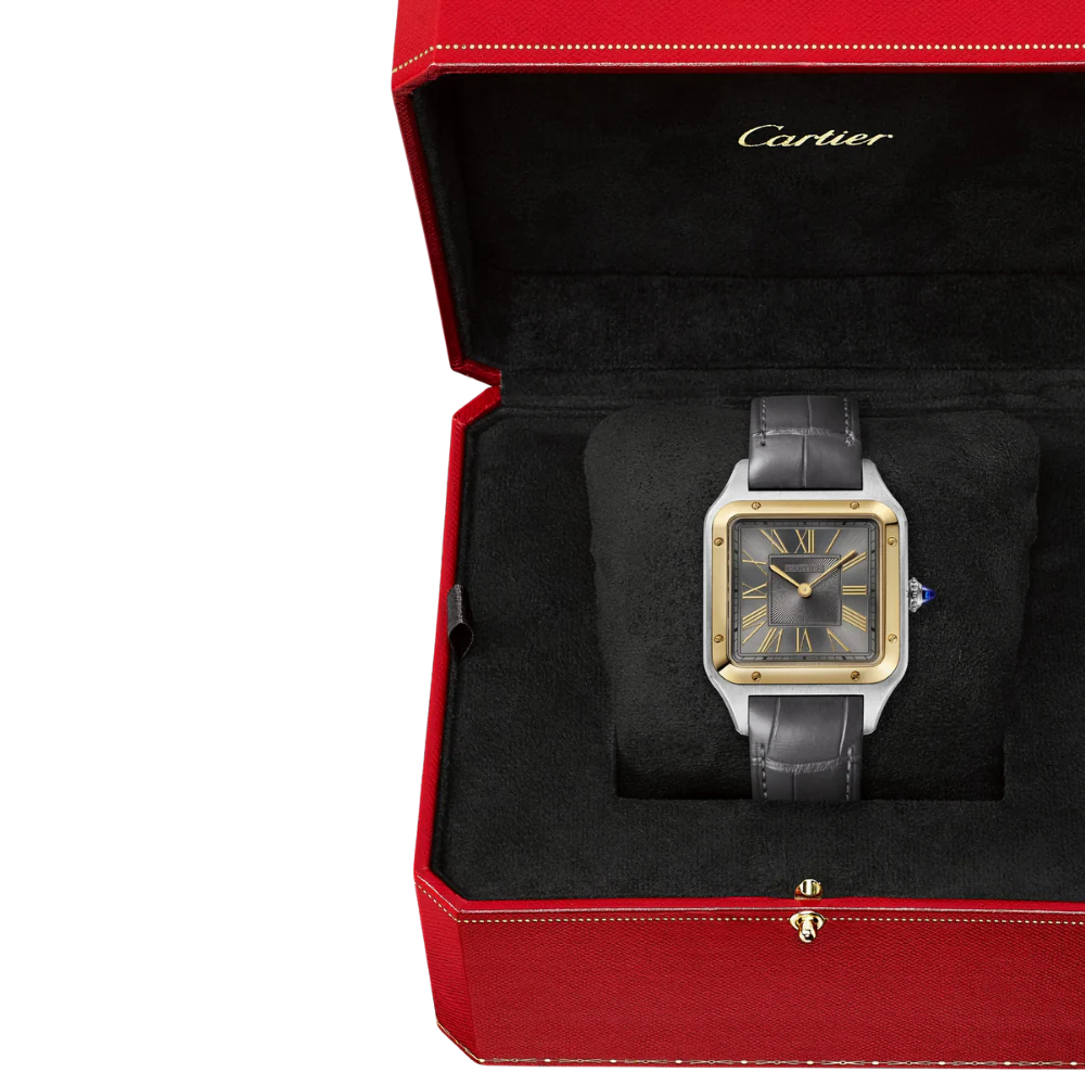 Cartier Santos-Dumont Large Watch W2SA0036 - Image 6