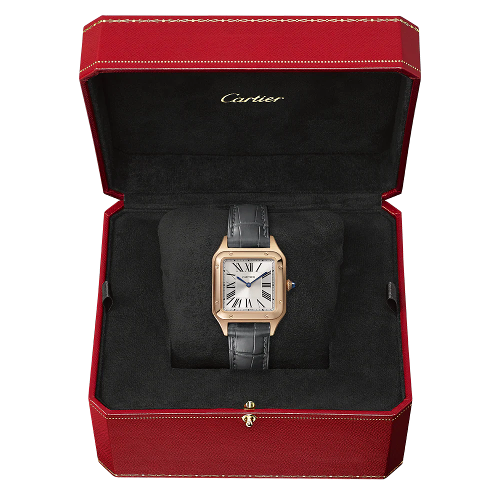 Cartier Santos-Dumont Small Watch WGSA0022 - Image 3