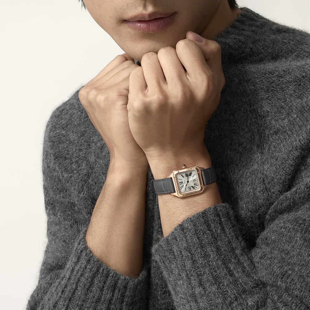 Cartier Santos-Dumont Small Watch WGSA0022 - Image 4