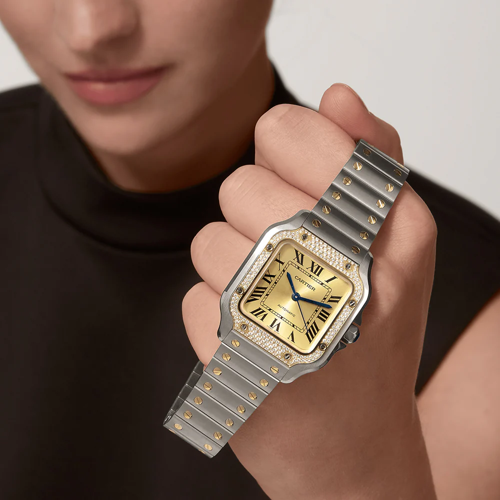 Cartier Santos de Cartier Medium Watch W3SA0007 - Image 6