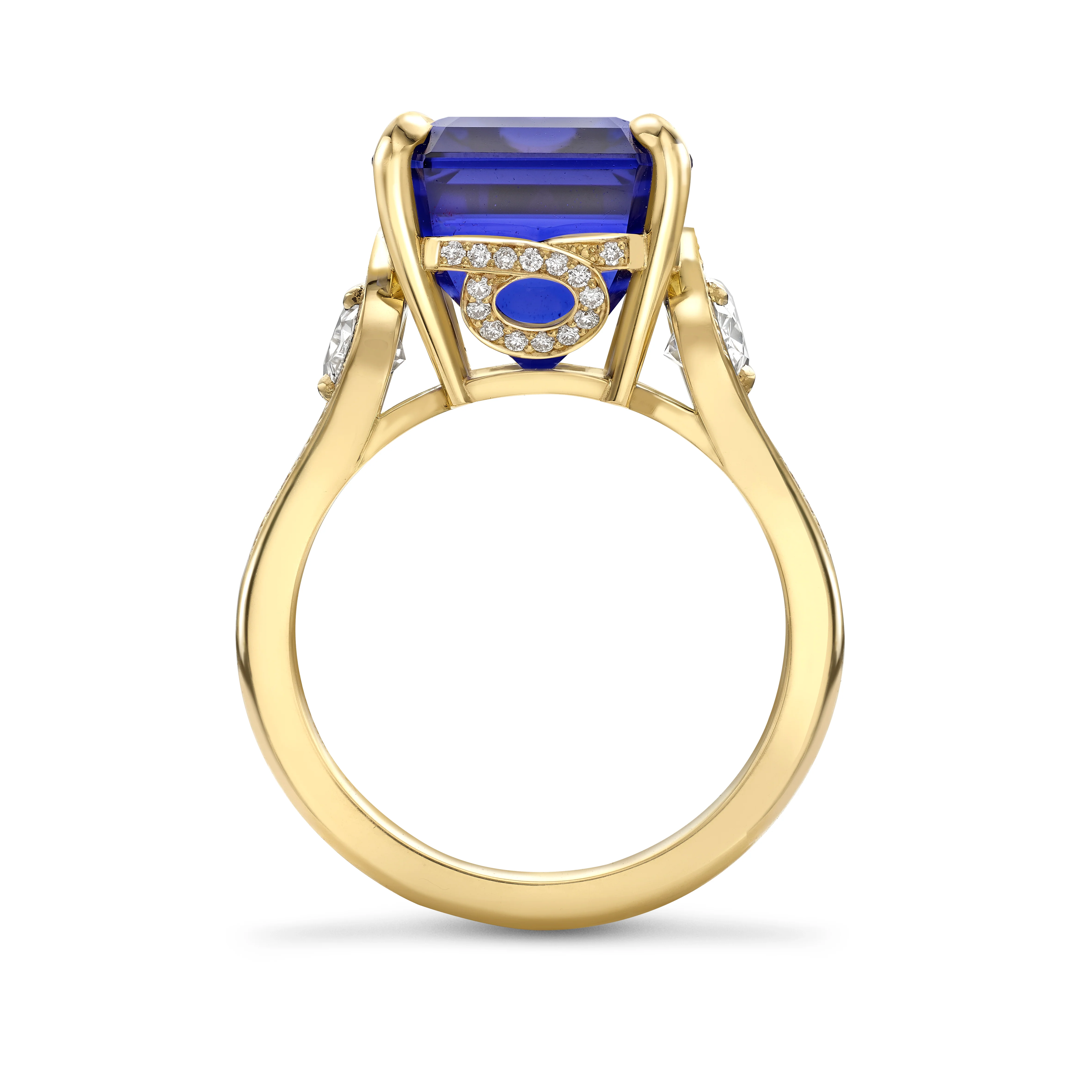Midnight Willow Tanzanite and Diamond Ring - Image 3