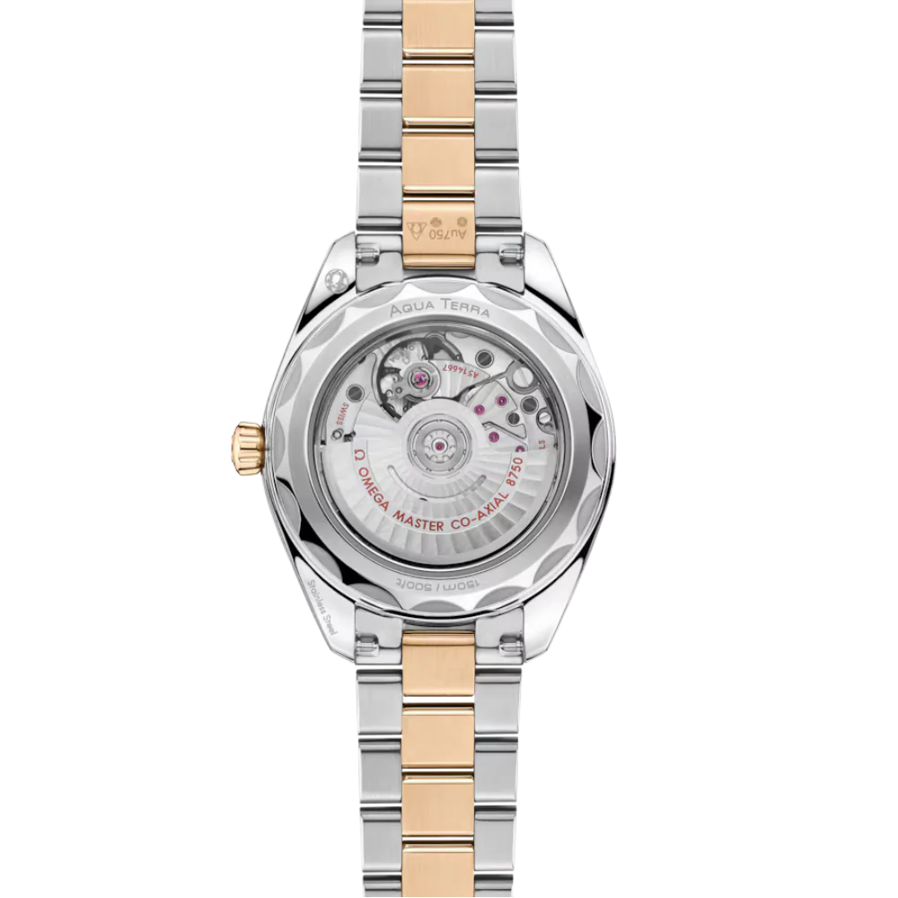 OMEGA Seamaster Aqua Terra 220.20.30.20.02.001 - Image 2