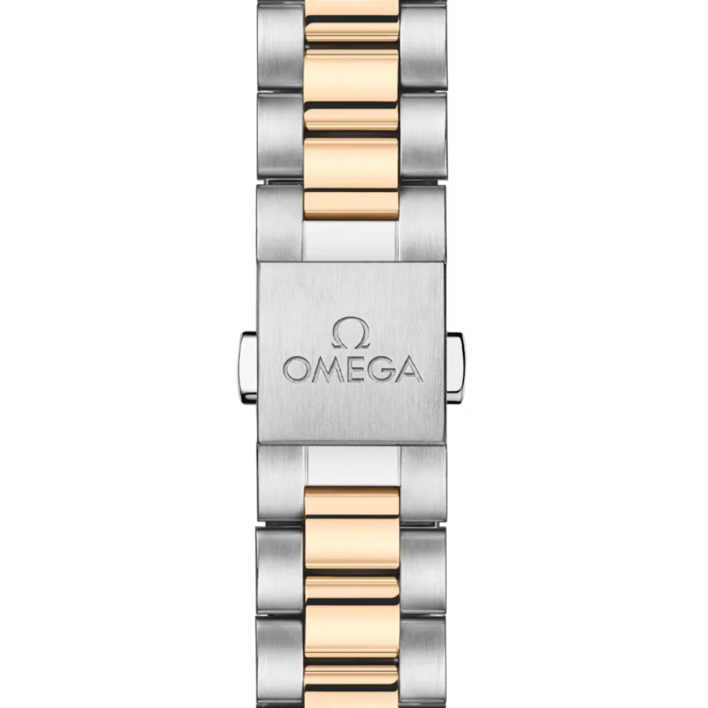 OMEGA Seamaster Aqua Terra 220.20.30.20.02.001 - Image 6