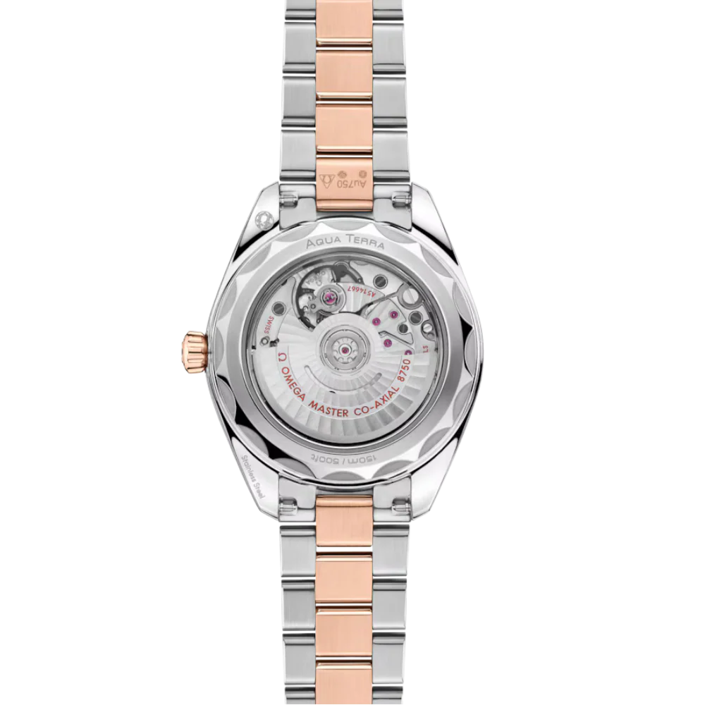 OMEGA Seamaster Aqua Terra 220.20.30.20.63.001 - Image 2