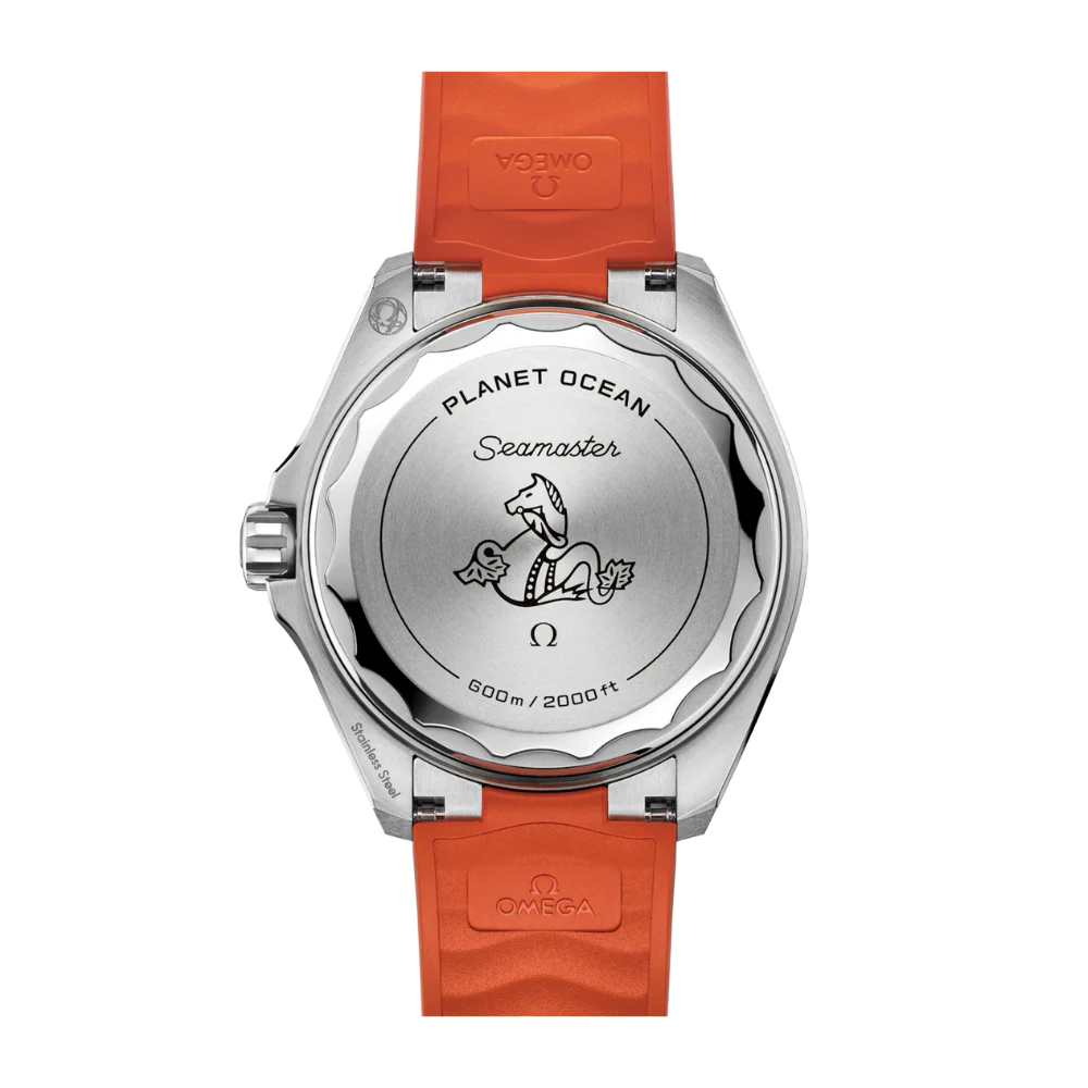 OMEGA Seamaster Planet Ocean 600M 217.32.42.21.01.004 - Image 2