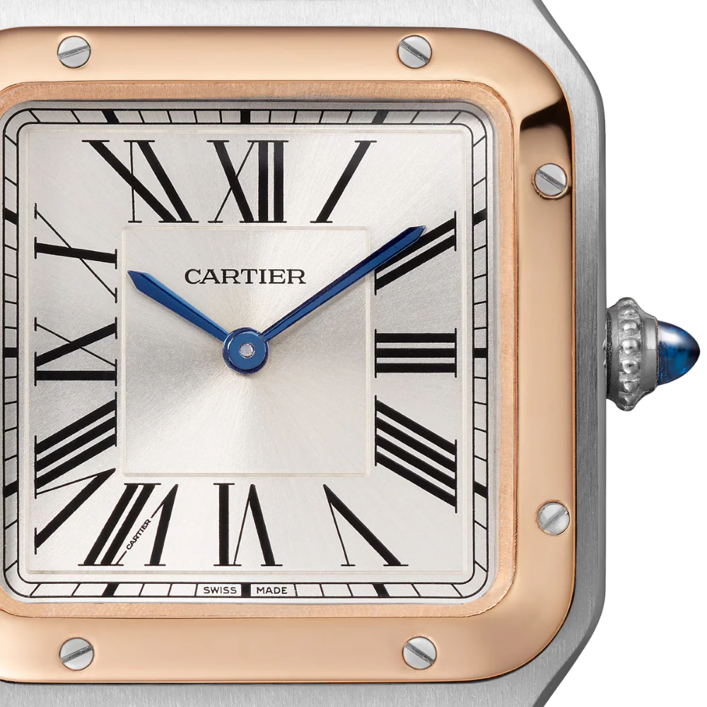 Cartier Santos-Dumont Small Watch W2SA0038 - Image 3