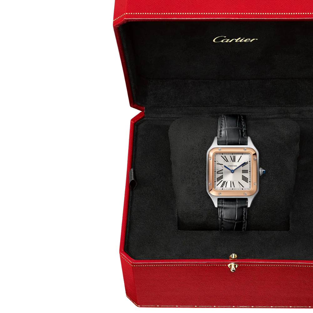 Cartier Santos-Dumont Small Watch W2SA0038 - Image 6