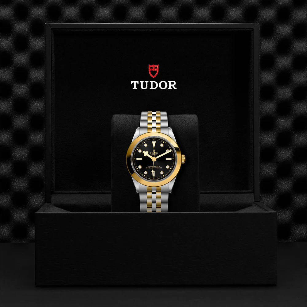 TUDOR Black Bay One 39 S&G M79663-0006 - Image 3