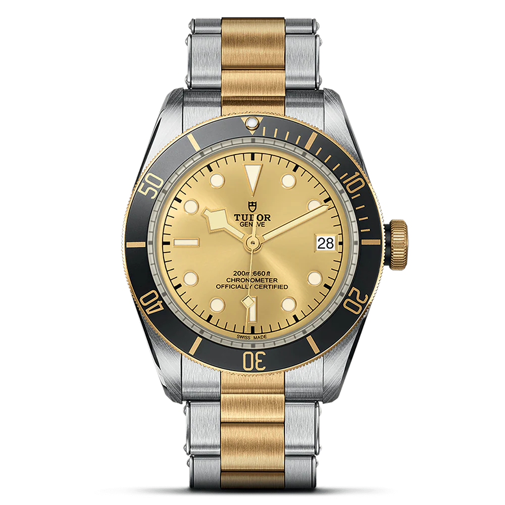 TUDOR Black Bay 41 S&G M79733N-0004