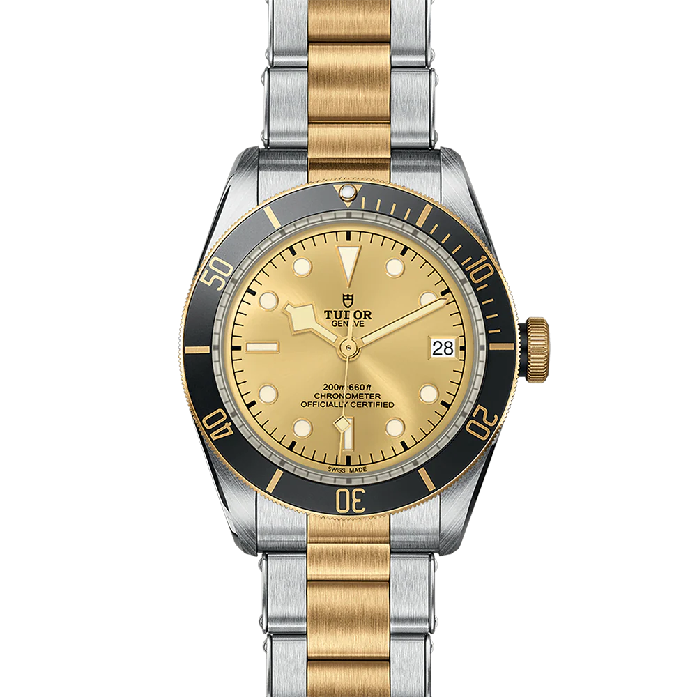 TUDOR Black Bay 41 S&G M79733N-0004 - Image 2