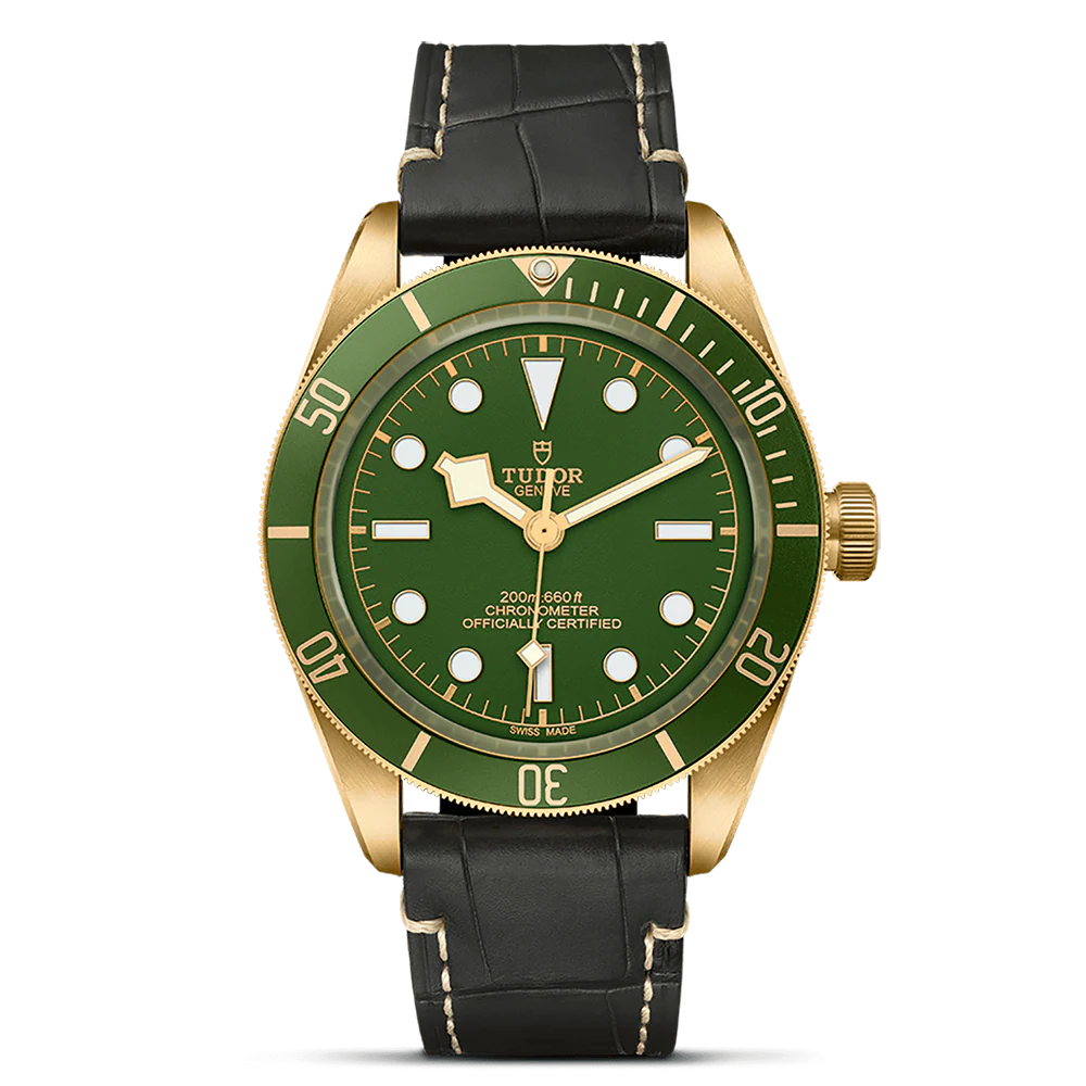 TUDOR Black Bay 58 M79018V-0001