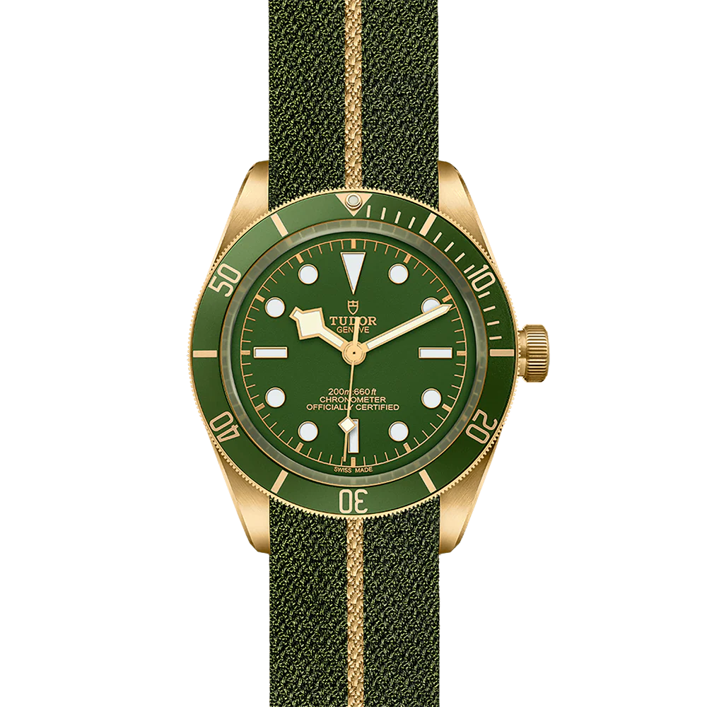 TUDOR Black Bay 58 M79018V-0001 - Image 2