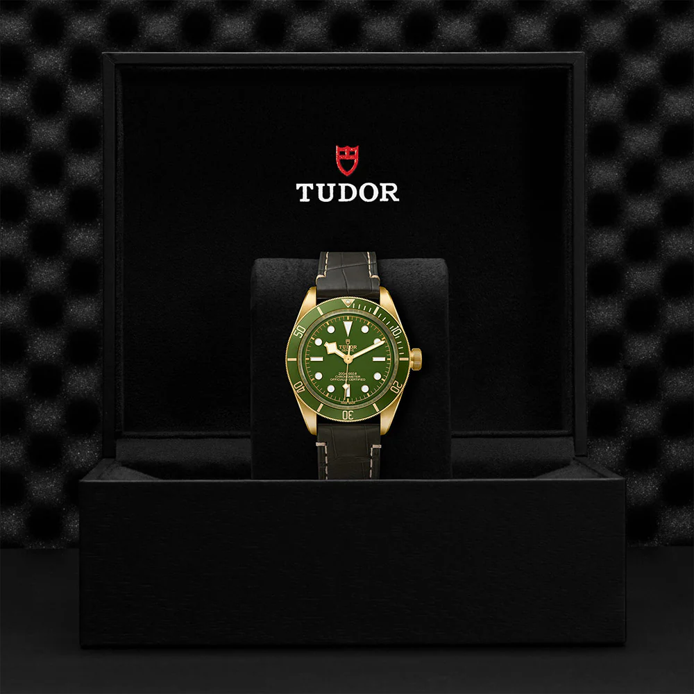 TUDOR Black Bay 58 M79018V-0001 - Image 5