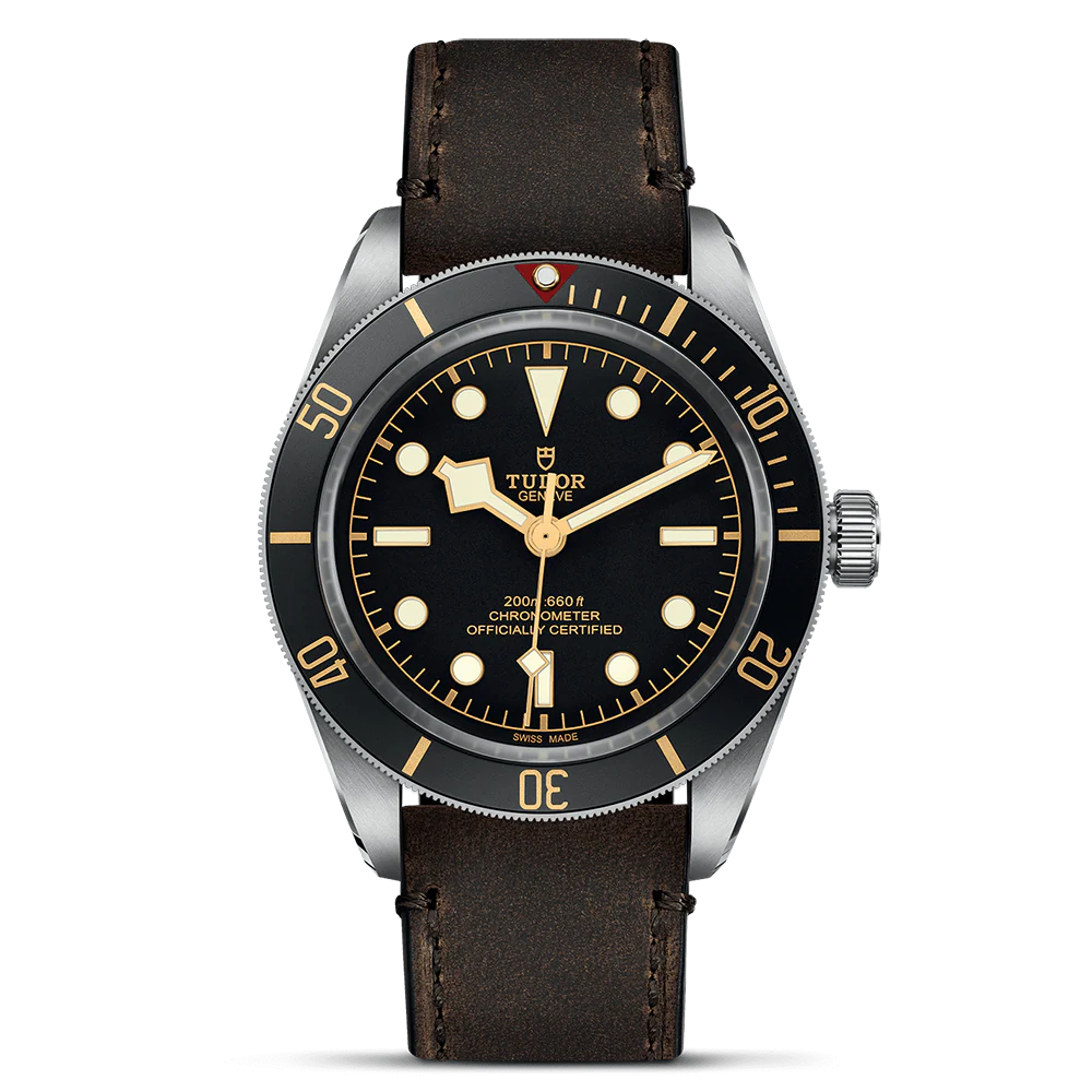 TUDOR Black Bay 58 M79030-0002