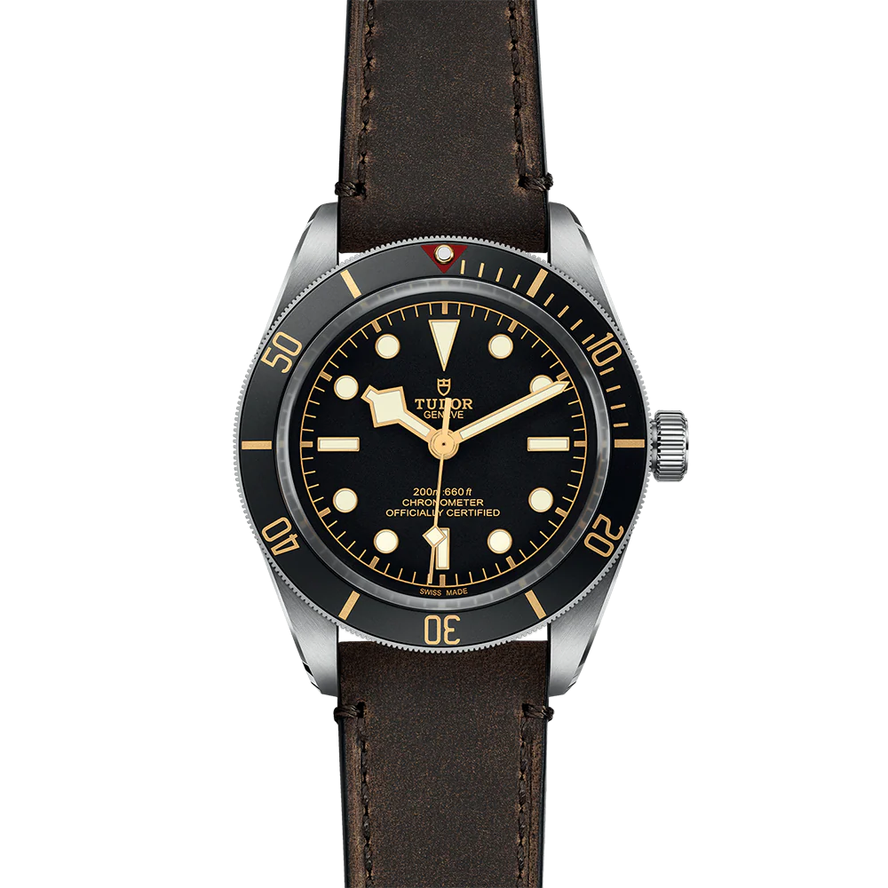 TUDOR Black Bay 58 M79030-0002 - Image 2