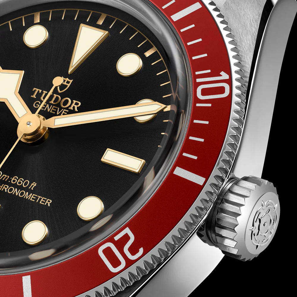 TUDOR Black Bay M7941A1A0RU-0003 - Image 5